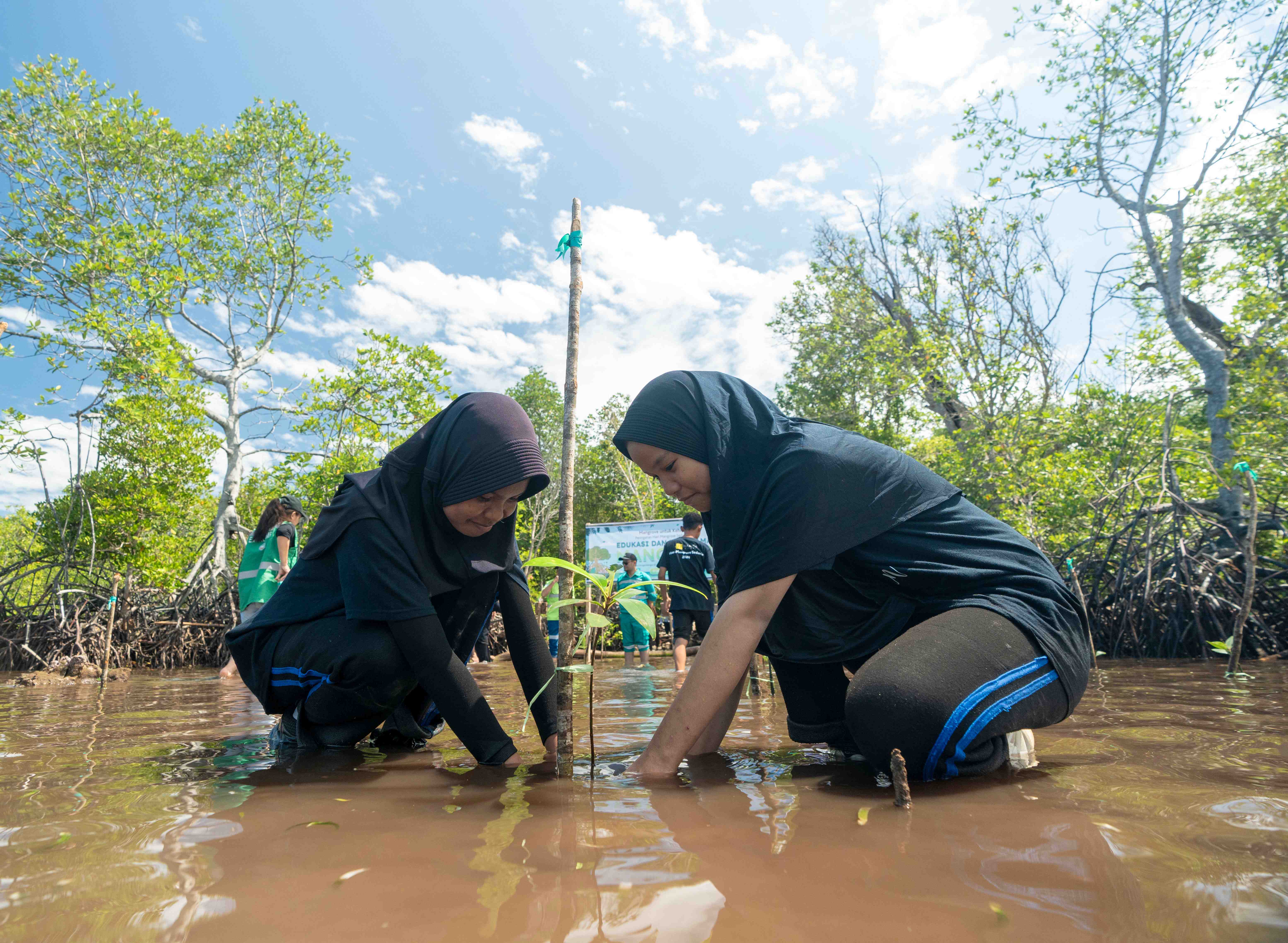 C1 hari mangrove sedunia soligi C1 hari mangrove sedunia soligi